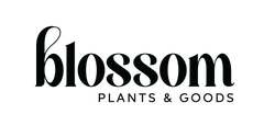 Blossom Plants & Goods 