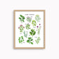 Herb Garden | Art Print