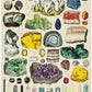 Mineralogy 1000 Piece Puzzle