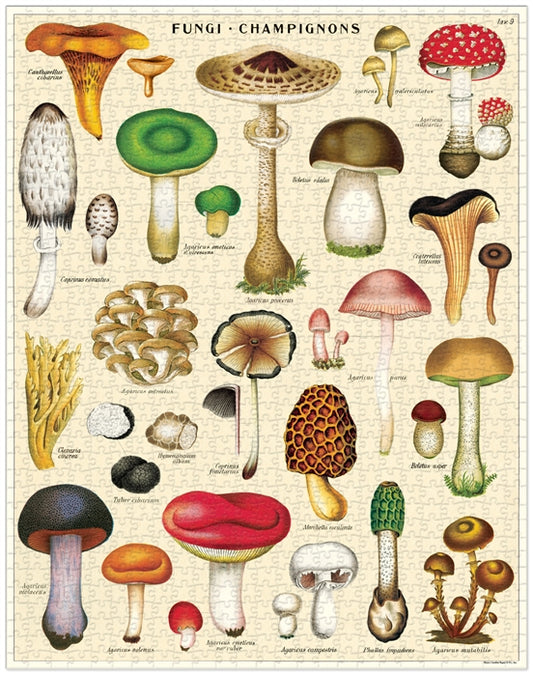 Mushrooms 1000 Piece Puzzle