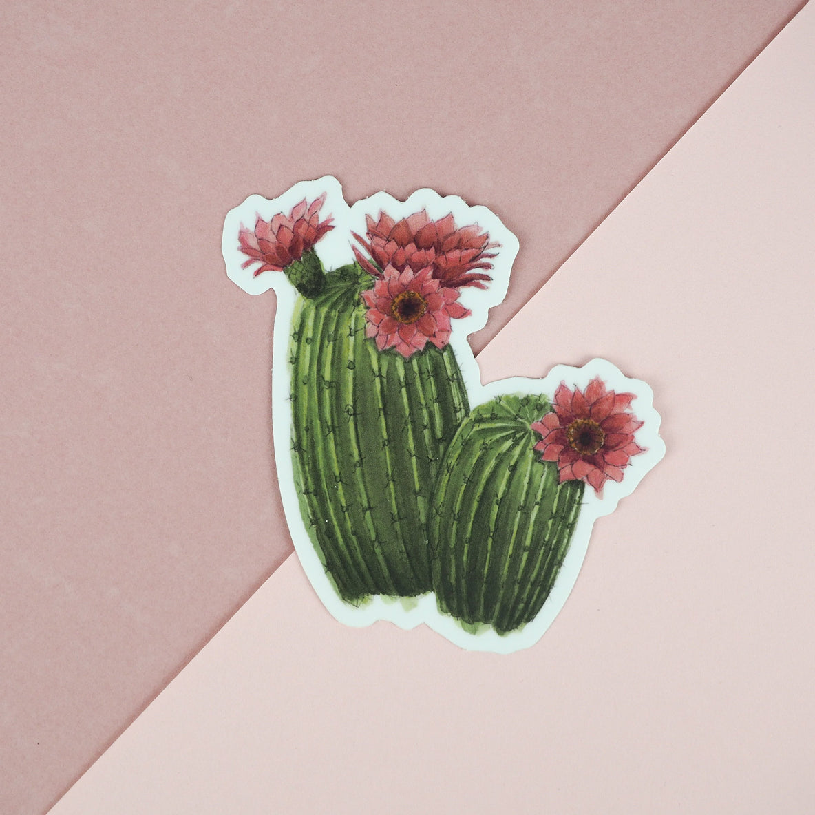 Cactus Flower Sticker